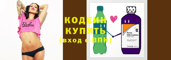 a pvp Ельня