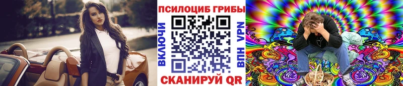 Купить закладки  Западная Двина  Галлюциногенные грибы Cubensis 